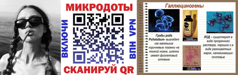 мега ССЫЛКА  Стародуб  Галлюциногенные грибы GOLDEN TEACHER 